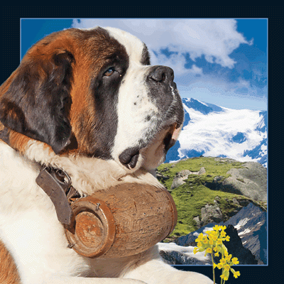 Alps 3D Card St. Bernard Dog